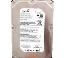 Seagate ST3250820NS 9BL13E-301 3.AEE WU (5QE) China 250gb Sata 3.5