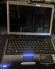 Toshiba Satellite M305-S4848 picture