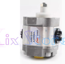QTY:1  NEW Gear pump P3AAN0075FL20B01N Item No. C5082379 DHL or FedEX picture