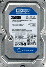 Western Digital WD2500AAKX-22ERMA0 DCM: HBNNHTJCHB 250GB picture