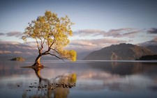 Landscape nature lake trees mountains water clouds Custom Gaming Mat Desk picture