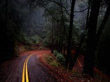 Landscape japan leaves fall road forest asia Custom Gaming Mat Desk picture
