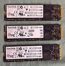 Lof of 3 SanDisk X110 256GB M.2 2280 Internal SSD Laptop/PC SD6SN1M-256G-1006 picture