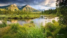 Landscape nature animals Custom Gaming Mat Desk picture
