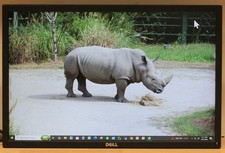 Dell P2217 22