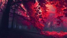 Landscape dark red nature forest trees leaves mist fall Custom Gaming Mat Desk picture