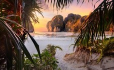 Landscape nature beach sunset palm trees shrubs rocks Custom Gaming Mat Desk picture