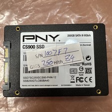PNY CS900 250GB 2.5