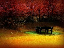 Landscape forest clearing bench red fall Custom Gaming Mat Desk picture