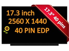 Asus Rog Strix G713QR-ES96Q 17.3