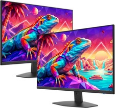 2X Pack - 24 Inch Monitor FHD 100Hz Computer Monitor HDMI X2 100% sRGB Build-in picture