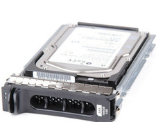 FIT FOR DELL M8034 MAX3147RC CA06697-B40300DL 146GB 15K SAS HOT PLUG HARD DRIVE picture