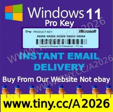 Windows 11 Pro (PC) picture