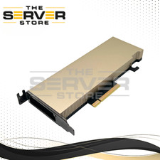 NVIDIA A2 Ampere 16GB GDDR6 AI Accelerator Server GPU PG179 900-2G179-2720-001 picture