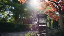 Landscape sunlight grass lamp nature trees leaves Custom Gaming Mat Desk picture