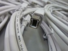 USB 2.0 Shielded High Speed / 6.5 ft (2 mt) Printer / Scanner / Data - Cable picture