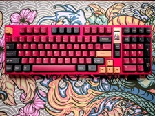 QK100 Custom Mechanical Keyboard w. Lubed Switches, Keycaps, and More picture