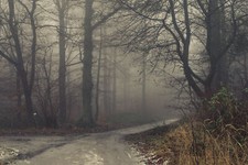 Landscape forest snow trees nature isolation Custom Gaming Mat Desk picture