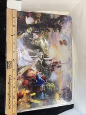 Beauty And The Beast Hard Laptop/chromebook Case Brand New 12” By 8.5” picture