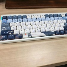 DIXSG Low Profile PBT Keycaps 120 Keys Dye Sub for Cherry MX Vintage Blue picture