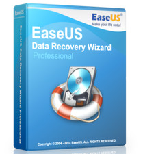Easeus Data Recovery  Lifetime 1 PC picture