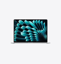 Apple 13