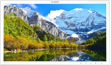 Planar PXL2470MW-WH 23.6
