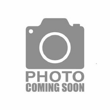 Las Vegas Super Casino Plus, Software picture