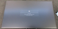 Dell P2425HE 24