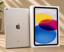 Apple iPad Series iPad 13in 500MB Wi‑Fi + 4G Tablet, Silver w/ Box picture