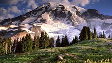 Landscape nature mountains usa trees clouds snow Custom Gaming Mat Desk picture