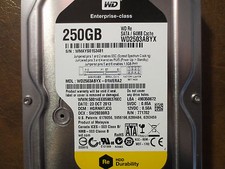Western Digital WD2503ABYX-01WERA2 DCM:HGRNHTJCG 250gb 3.5