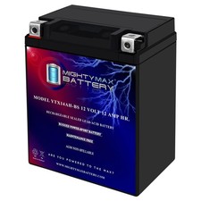 Mighty Max Battery YTX14AH-BS - 12 Volt 12 AH, 210 CCA, Rechargeable Maintena... picture