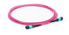 30m MTP Female 12 Fibers Type B Plenum (OFNP) OM4 50/125 Multimode -6543256 picture