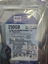Western Digital Caviar Blue 250GB Internal 7200RPM 3.5