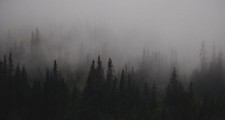 Landscape dark gloomy mist trees nature low Custom Gaming Mat Desk picture
