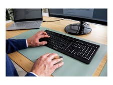 Cherry Stream Desktop Comfort Desktop 4000 dpi Optical 6 JD-8550GB-2 picture