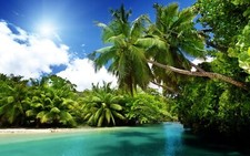 Landscape beach sand palm trees nature Custom Gaming Mat Desk picture