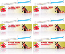 Paste 1.87% | Apple Flavored – 6.08g Tube for Horses, 6-Pack picture