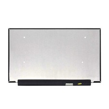 165hz Display Dell Alienware m15 Ryzen Edition R5 P109F002 15.6