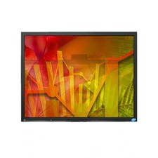 Eizo Flexscan S2000 Monitor 20