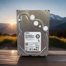 Toshiba Dell MG04ACA100NY 1 TB SATA III 3.5 in Enterprise HDD - Crystal disk picture