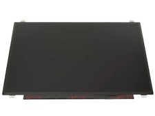 DELL 17.3