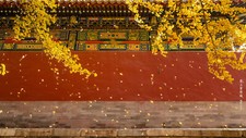 Landscape chinese architecture nature the imperial Custom Gaming Mat Desk picture