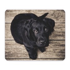 CafePress Black Lab Puppy Mousepad  (1278888740) picture