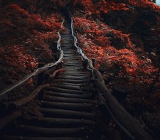 Landscape nature path dark trees fall shrubs red stairs Custom Gaming Mat Desk picture