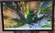 Dell Professional P2411Hb 24