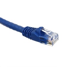 1ft Blue Cat6 UTP Copper Patch Cord picture