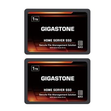 Gigastone 【NAS Certified】 1TB Home Server 1TBx2, SSD 2-Pack picture