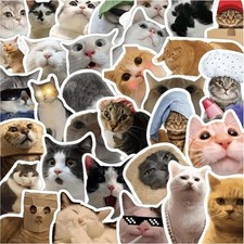 Cat Stickers,Funny Meme, Kawaii for Adults,Waterproof Vinyl Funny Cats  picture